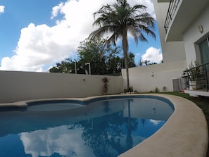 Relax by the curved pool surrounded by a low wall, with a palm tree in the background.
