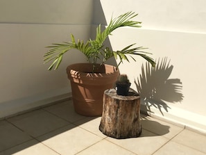 A potted plant arrangement on a tiled floor, featuring a terracotta pot and a smaller companion plant on a wooden stump.