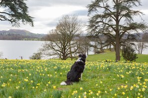 Property grounds - Period character house with stunning views of Lake Windermere  (Windermere)