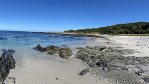 A beach with clear water, rocky shore, and greenery.