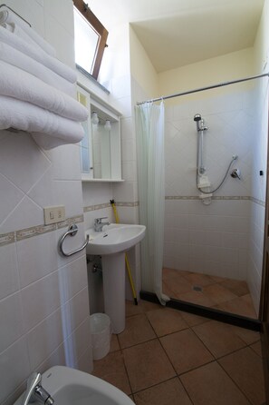 Shower, hair dryer, bidet, towels