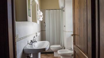 Shower, hair dryer, bidet, towels