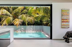 Piscina externa