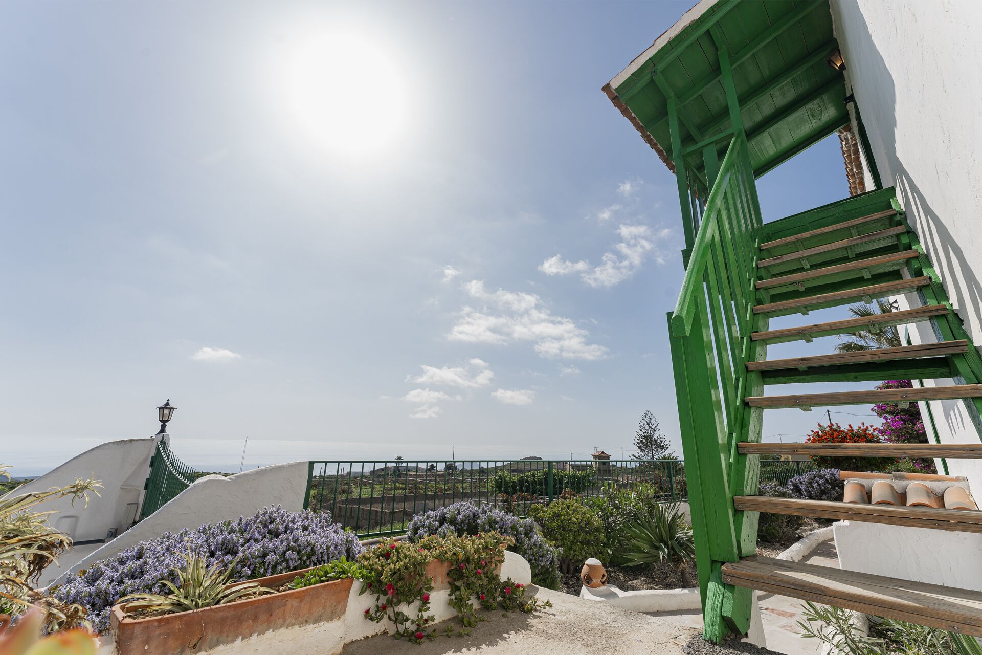 Un jardin sur le toit, agrémenté de diverses plantes et d’un escalier végétalisé.