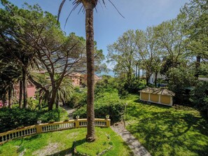 Área da propriedade