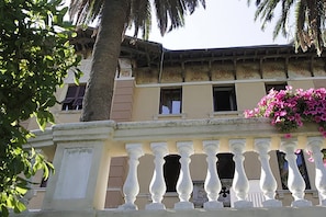 A building with a balcony, palm trees, and a flower box.