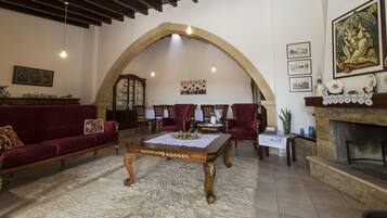 Télévision, cheminée, lecteur de DVD, livres