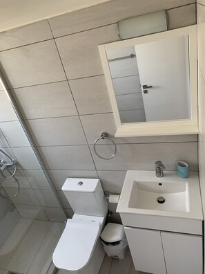 Combined shower/bathtub, hair dryer, towels, soap