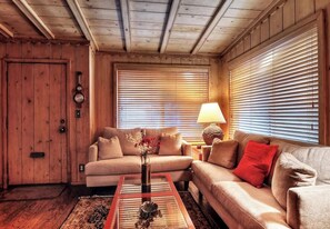 TV connectée, cheminée, espaces bureaux