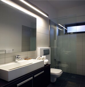 Ensemble douche/baignoire, sèche-cheveux, serviettes fournies