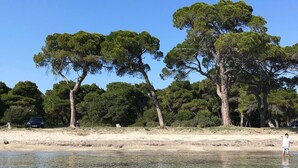 En strand med klart, lavt vand, træer og en bil parkeret i sandet.
