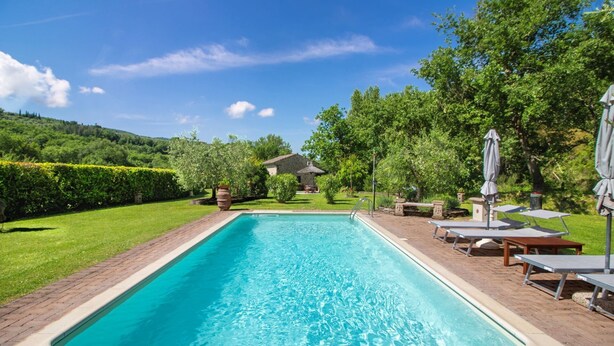 A rectangular swimming pool with a clear blue water surface, surrounded by a brick deck. There are lounge chairs and umbrellas on the right side, and a stone building with a thatched roof in the background.