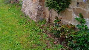 A stone wall with hanging purple flowers and green foliage.