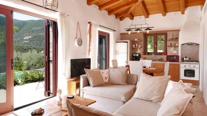 TV, fireplace, DVD player, books