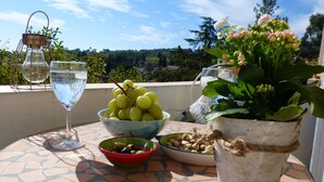 Une table avec un bol de raisins verts, un bol de noix, une plante en pot et deux verres d’eau, le tout placé sur un balcon d’où l’on peut admirer les arbres et les maisons.