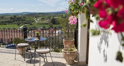 SAMAREITIDOS LIGHT STUDIO - GREEN