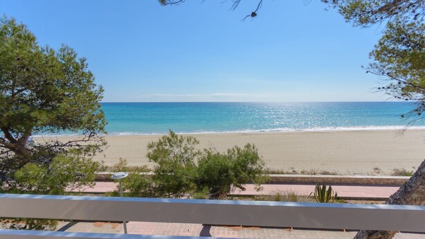 A beach view with a bench in the foreground, trees, and a clear sky.
