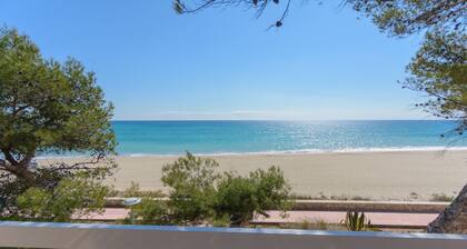 Guardamar 2/4 Zeus Apartments Miami 01251