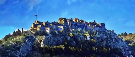 A historic castle on a hill with a flag, surrounded by greenery and a few buildings at the base.