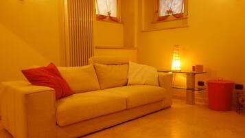 Télévision, cheminée, livres, chaßne hi-fi