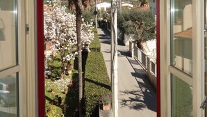 Blick von einem Balkon mit einer Palme, einer Straße und Bergen im Hintergrund.