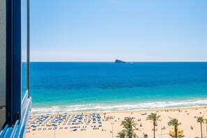 A beach with rows of blue sun loungers and palm trees, a clear blue sea, and a distant island. - Acintur 11-A (Benidorm)
