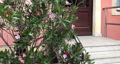 Ferienwohnung an der Elbfähre - Ferienwohnung für 2 - 3 Personen