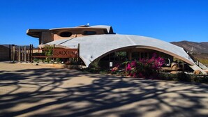 A modern building with a curved roof and a sign that reads "ALXIMA". - Sn Tony Hotel & Spa (Valle de Guadalupe)