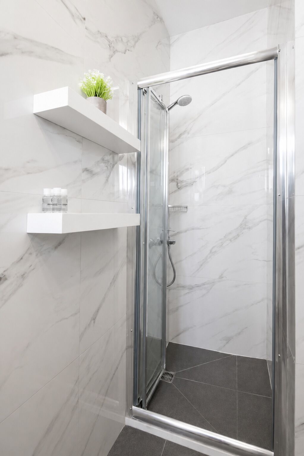 Eine gläserne Duschkabine mit Handbrause, ein kleines Regal mit einer Pflanze und einer Shampoo-Flasche.