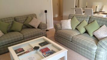 Smart TV, video games, DVD player, books