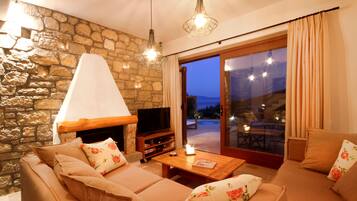 TV, fireplace, books, music library