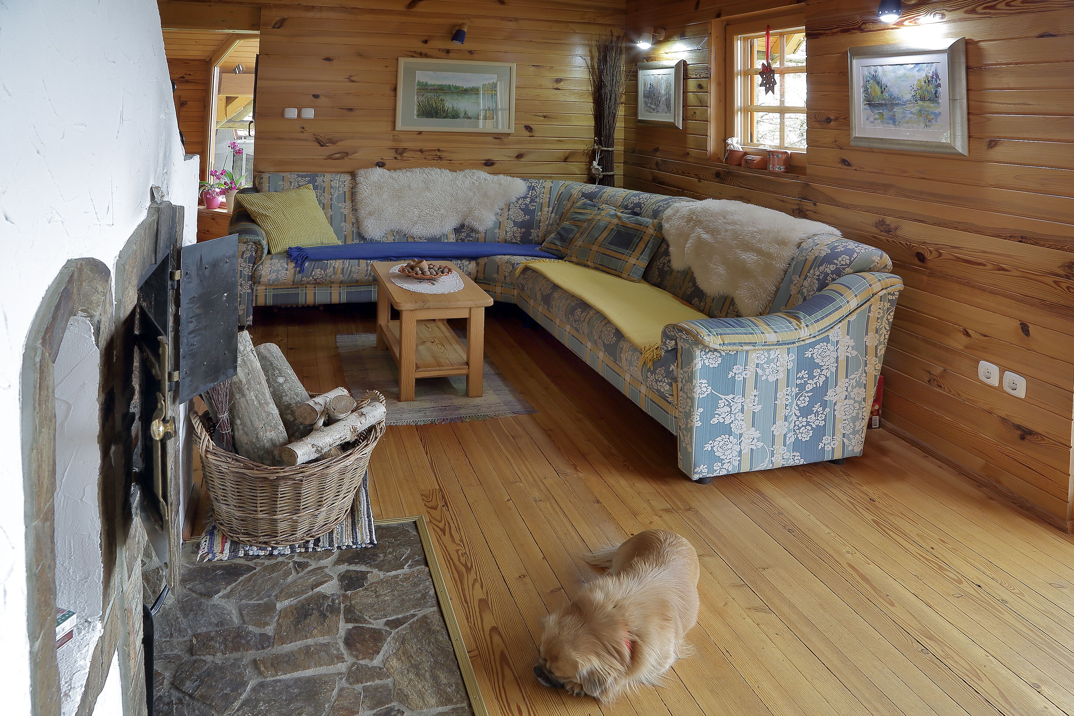 Interior acogedor de una cabaña con piso de madera, un sofá grande, una mesita y un perro.