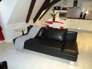 TV, DVD player - City Break "Le Nid de la Cathedrale 1" (Strasbourg)