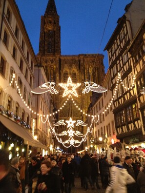 Point of interest - City Break "Le Nid de la Cathedrale 1" (Strasbourg)