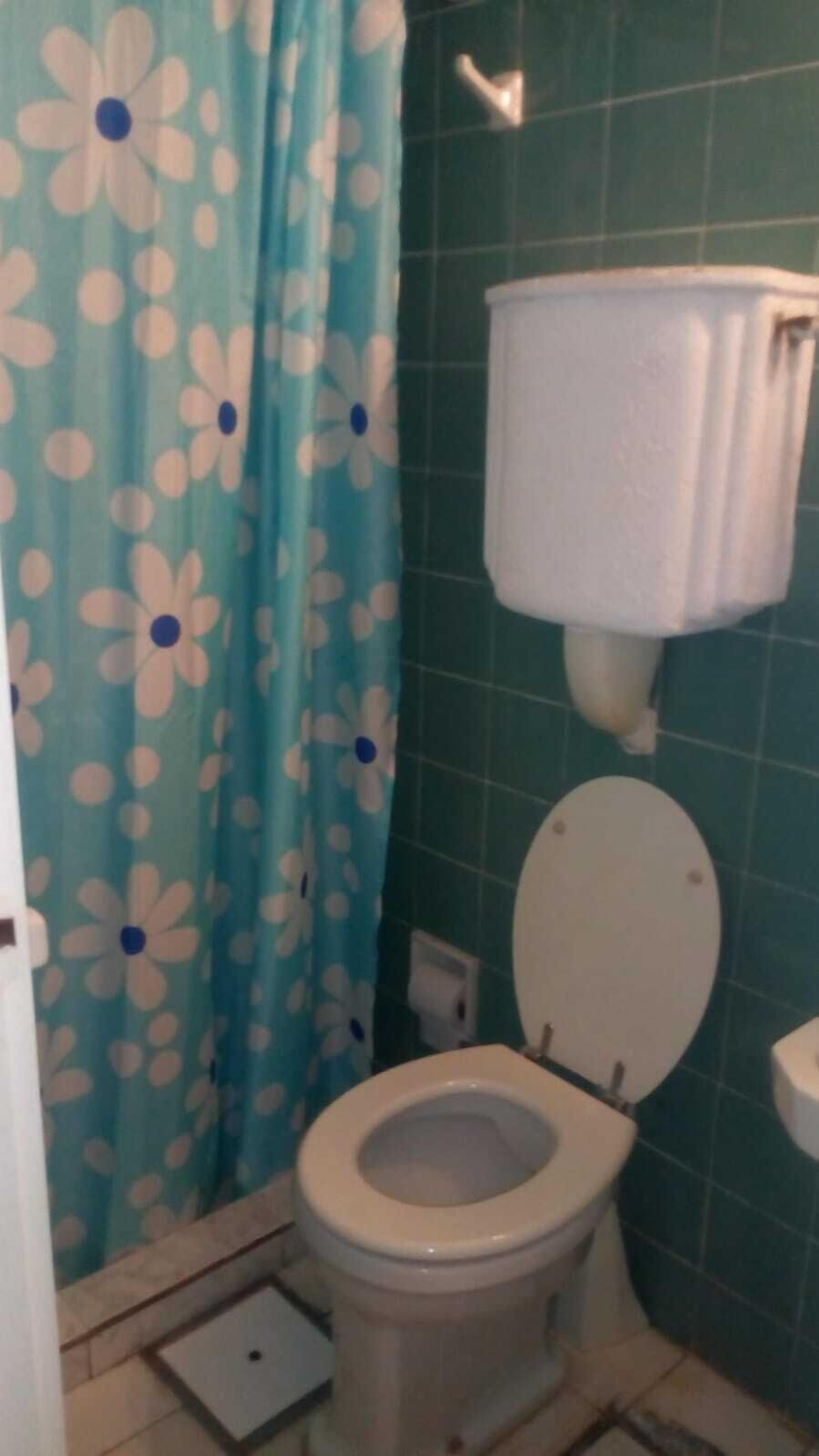 Shower, bidet