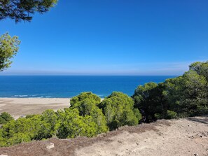 A coastal landscape with a beach, dense green trees, and a clear blue sky. - Opuntia (Téoulièro), air-conditioned house in a quiet Mediterranean village (Escales)