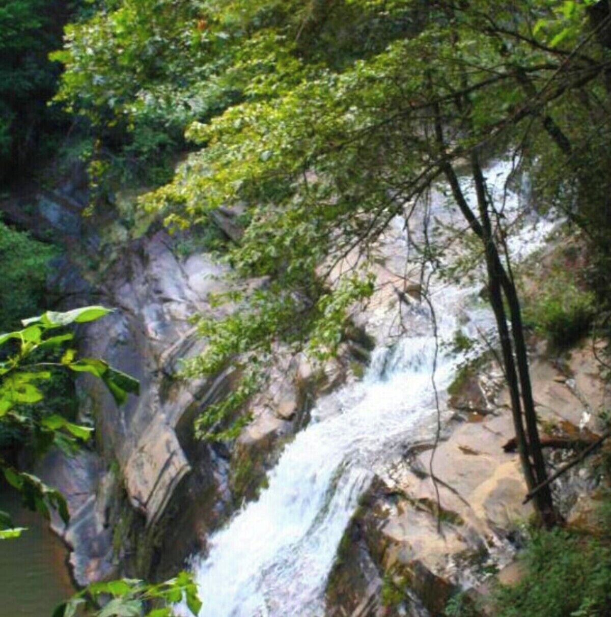 #2 - Cabin - Waterfall Access - Near Tallulah Gorge