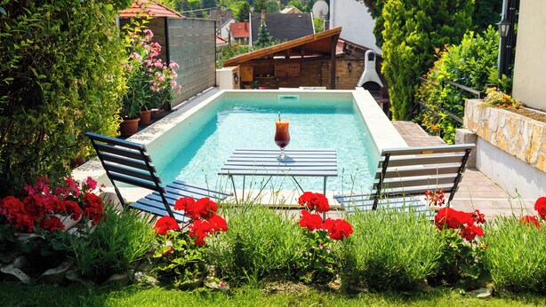 A swimming pool with a glass of red wine, surrounded by red flowers and greenery.