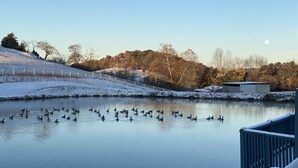 Ruhiger See mit schwimmenden Enten, einer Holzterrasse und verschneiter Landschaft.