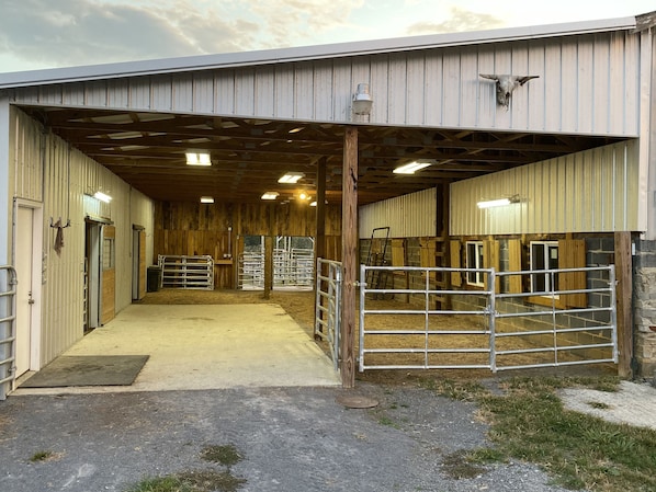 A stable with metal gates, wooden stalls, and a concrete floor.