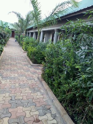 Un sendero pavimentado bordeado de vegetación exuberante y un edificio con techo verde.