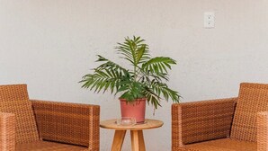 A wicker sofa and armchair set with a potted plant on a small round table.