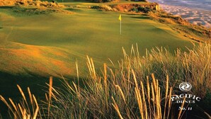 Un parcours de golf avec un drapeau, une vue sur l’océan et des dunes herbeuses.