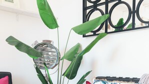 Una habitación con una planta grande en maceta, un espejo redondo y una silla de mimbre.