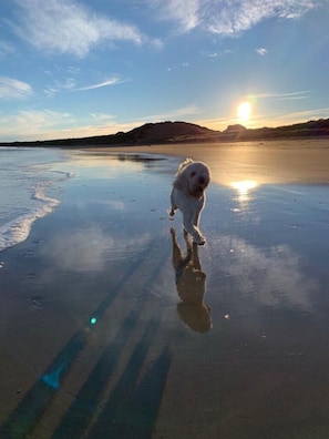 Beach nearby, beach towels - Pew with a View - Pet Friendly seafront cottage, secure shorefront garden (Aberdeenshire)