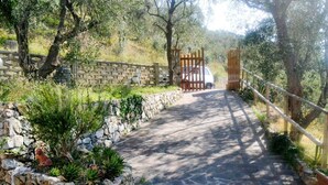 A stone pathway leading to a gated entrance surrounded by greenery and stone walls. - Stunning private villa for 3 people with A/C, WIFI, TV, patio and pets allowed (Moneglia)