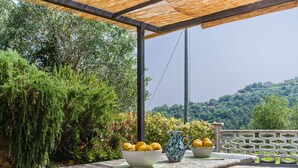 A stone bench with two bowls of lemons under a bamboo roof, surrounded by greenery and overlooking a hillside. - Stunning private villa for 3 people with A/C, WIFI, TV, patio and pets allowed (Moneglia)
