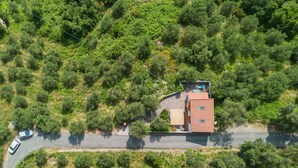 An aerial view of a house with a red roof, surrounded by dense greenery and a paved road with parked cars. - Stunning private villa for 3 people with A/C, WIFI, TV, patio and pets allowed (Moneglia)