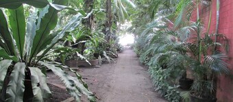Felipa Beach - Ilang Ilang