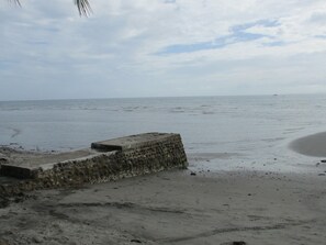 Playa en los alrededores y camastros